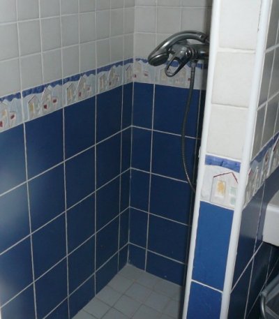 Salle d'eau n°1-douche